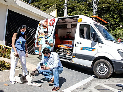 Ambulância veterinária atenderá animais vítimas de maus-tratos em Parnaíba