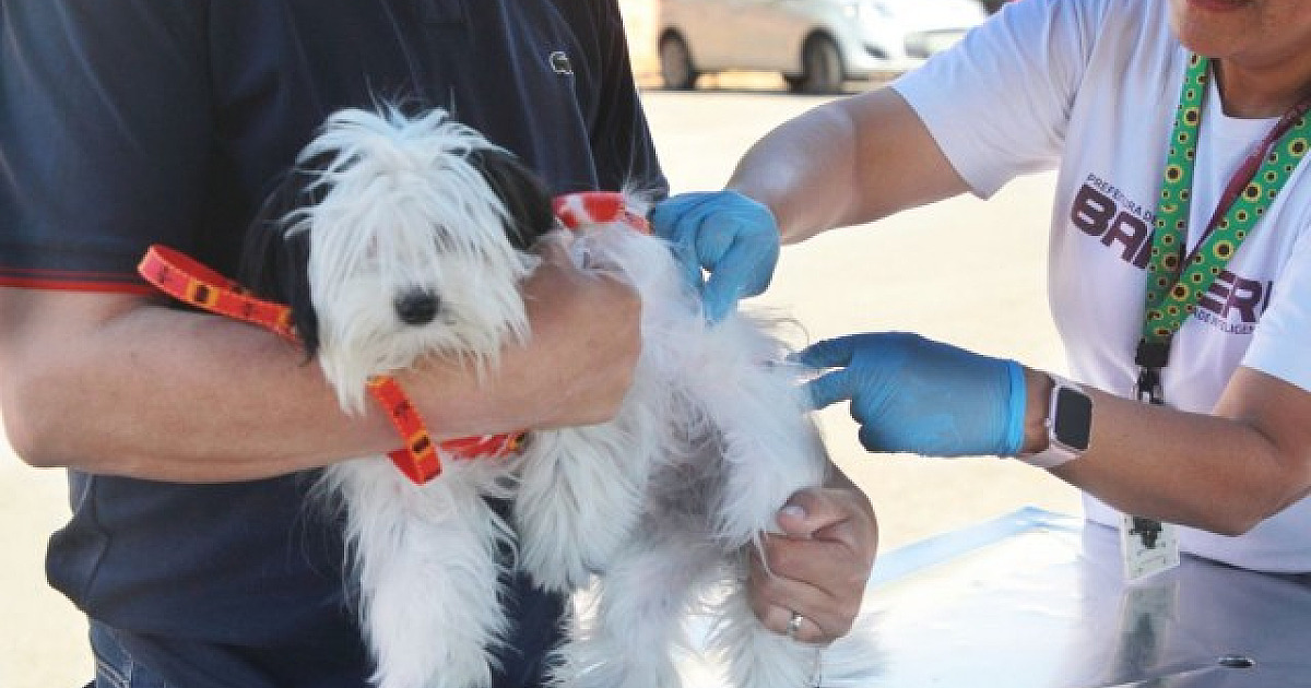 Posto fixo de vacinação contra raiva de Barueri terá agenda especial em dezembro