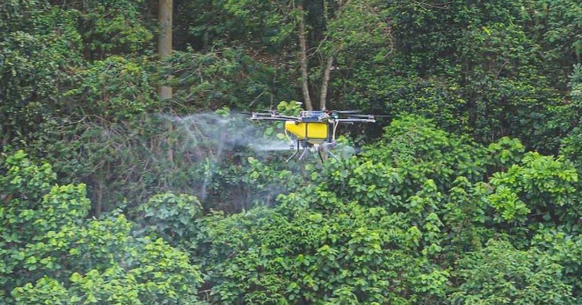 Contra o aumento dos casos de dengue, cidades usam até drone