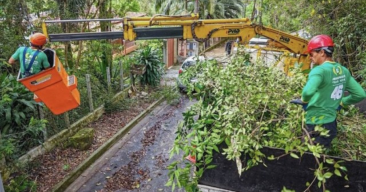 Santana de Parnaíba passa a oferecer serviço de poda de árvores próximas aos fios elétricos