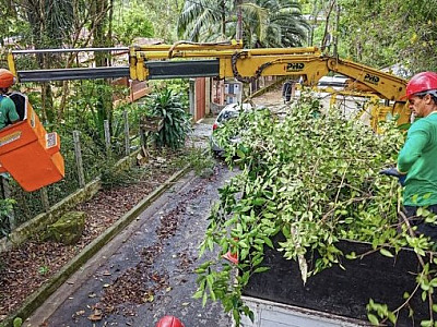 Santana de Parnaíba passa a oferecer serviço de poda de árvores próximas aos fios elétricos