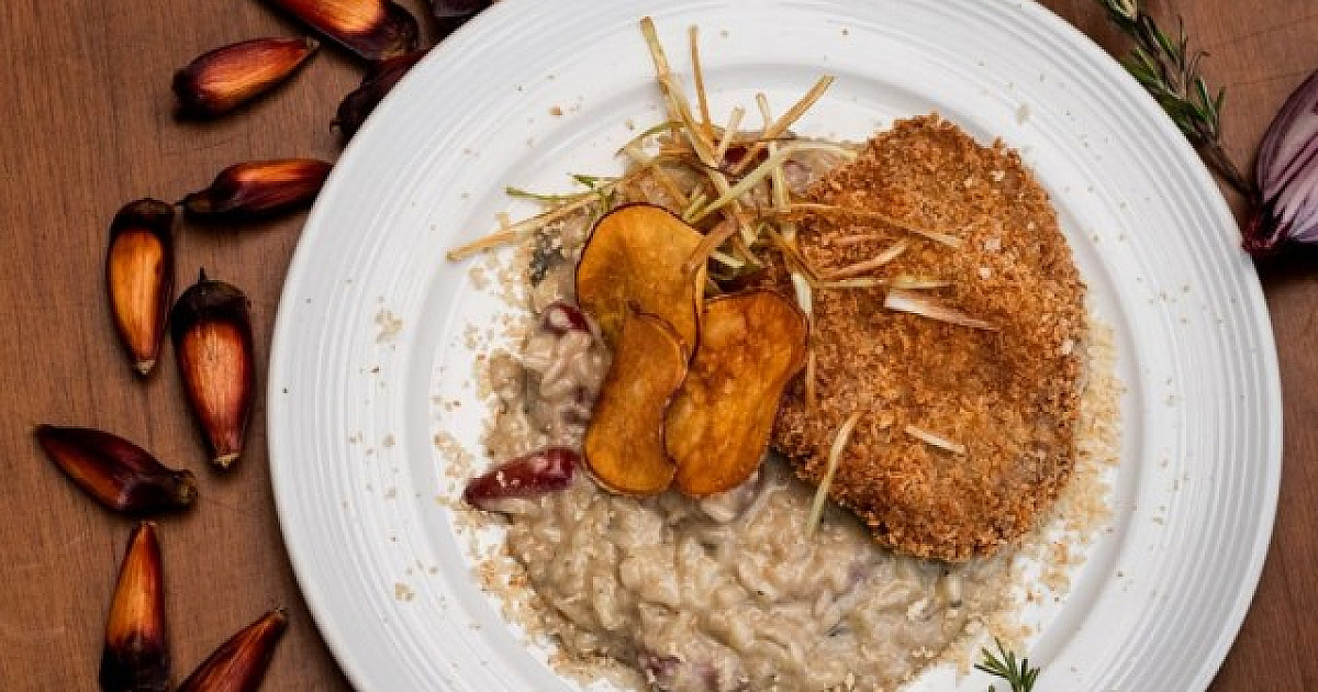 Campos do Jordão recebe Festival do Pinhão a partir desta semana