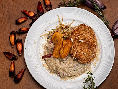 Campos do Jordão recebe Festival do Pinhão a partir desta semana