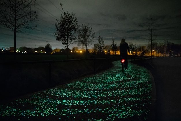 Holanda cria ciclovia que brilha no escuro inspirada na arte de Van Gogh