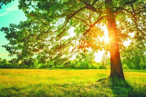 Outono terá poucas ondas de frio, aponta metereologista