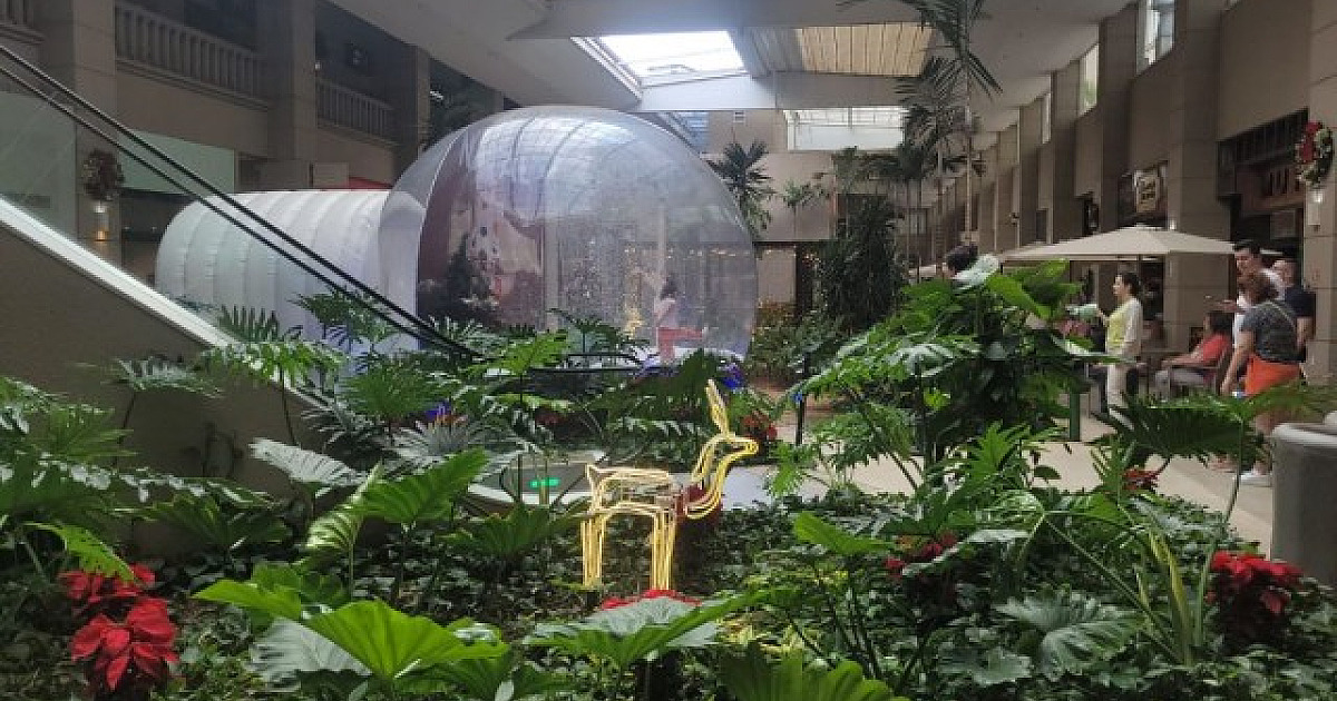 Shopping em Alphaville aposta em descontos de até 50% durante a Black Friday