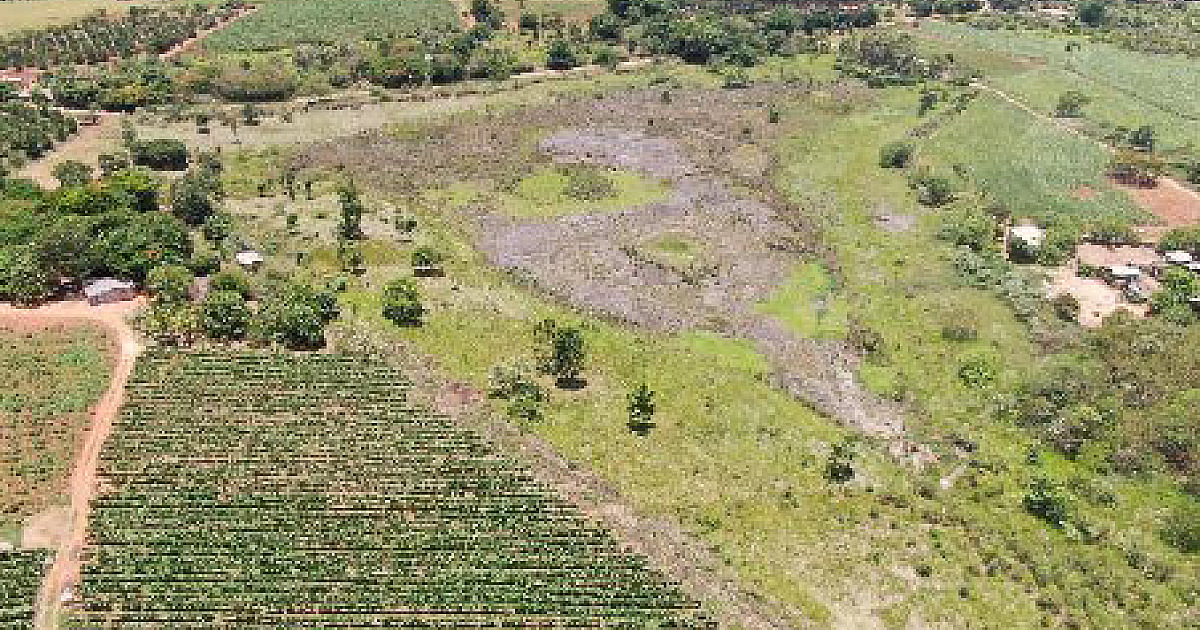 Por conta das obras na Castello Branco, CCR ViaOeste fará compensação ambiental