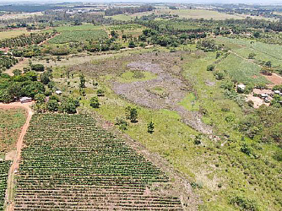 Por conta das obras na Castello Branco, CCR ViaOeste fará compensação ambiental