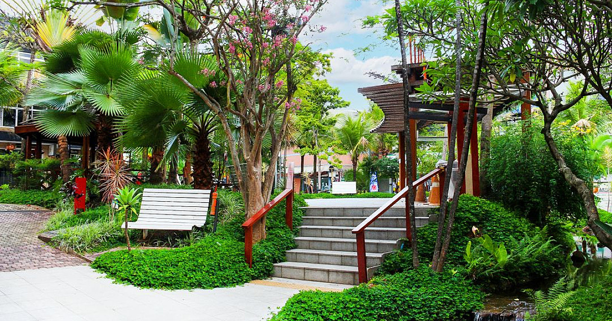 O seu paraíso em Alpha