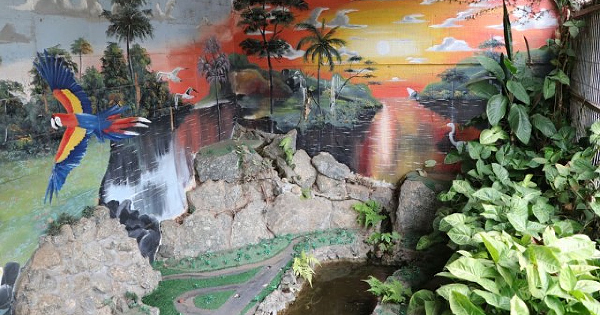 Sala Verde de Barueri é destaque em educação ambiental pelo Ministério do Meio Ambiente