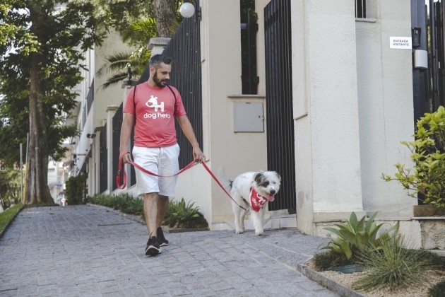 DogHero passa a oferecer passeio de cães pela Rappi