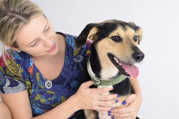 Grande São Paulo tem 66 ONGs dedicadas ao bem-estar animal