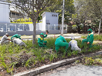 A AREA inicia o ano com trabalhos de manutenção em toda região do Centro Empresarial de Alphaville