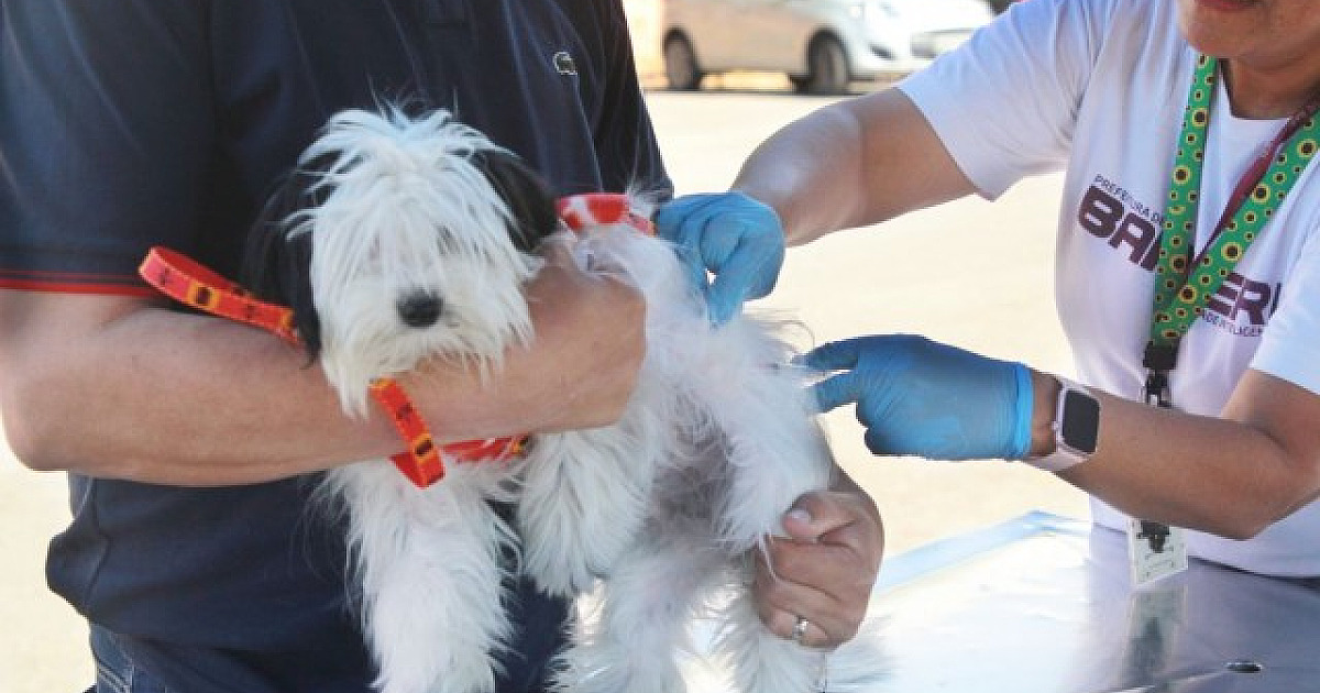 Posto fixo de vacinação contra raiva de Barueri não funcionará na última semana de março