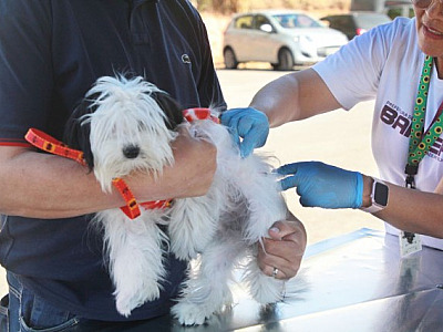Posto fixo de vacinação contra raiva de Barueri não funcionará na última semana de março
