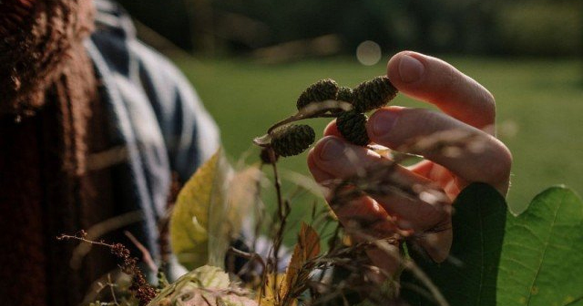 Objetivo promove live sobre a carreira de biólogo