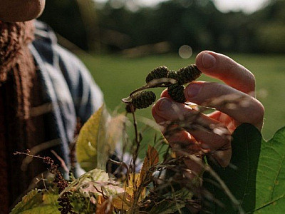Objetivo promove live sobre a carreira de biólogo