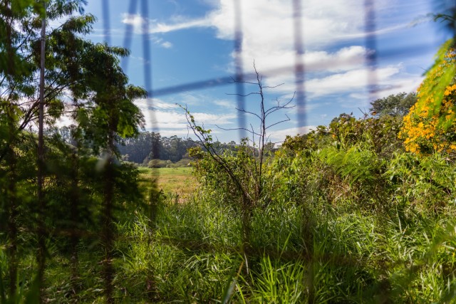 Parnaíba aprova Plano Municipal de Arborização