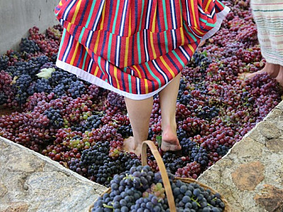 Quinta do Olivardo realiza 12ª edição da tradicional Pisa da Uva