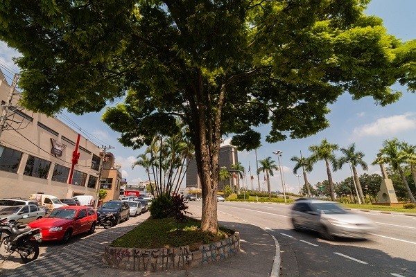 Sobrevivente é suspeito do crime de envenenamento de moradores de rua em Barueri