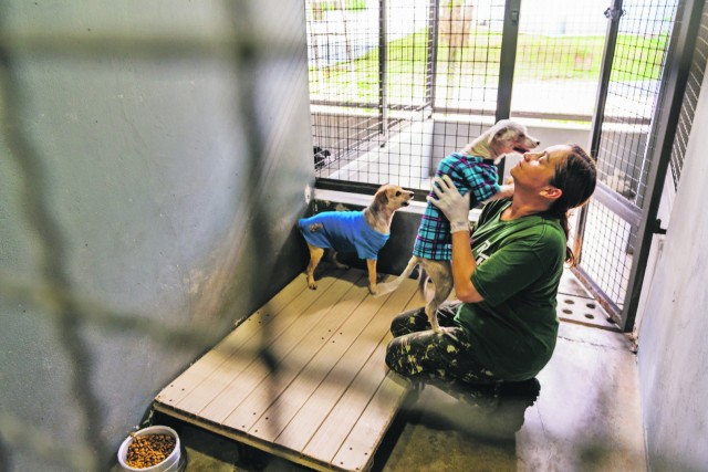 Para resgate de pets, Barueri terá “Samu Animal” 24 horas