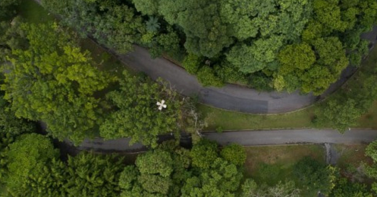 Barueri é uma das cidades mais arborizadas do mundo, diz a ONU
