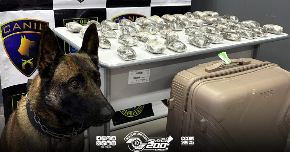 Homem é preso com mala de drogas na Castello Branco em Santana de Parnaíba