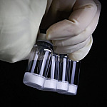 Butantan desenvolve vacina contra dengue única no mundo e reforça protagonismo científico do Brasil