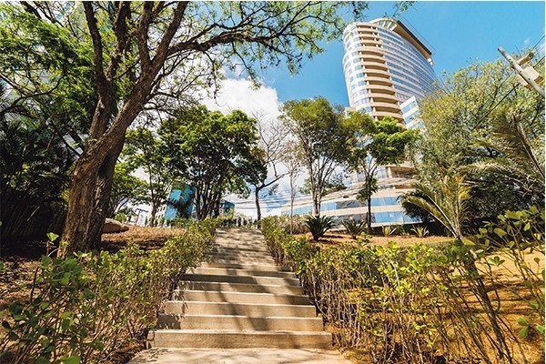 Associação 18 do Forte Empresarial promove revitalização de espaços