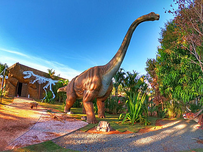 Enjoy Olímpia Park Resort lança "Vale Viagem" para hospedagens até 2022