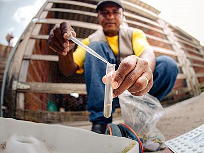 Santana de Parnaíba promoverá Dia D contra dengue nesta sexta-feira (1)