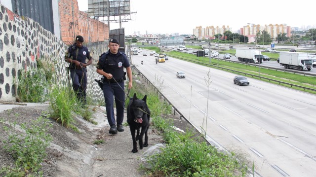 Forças de segurança fazem operação na Castello Branco