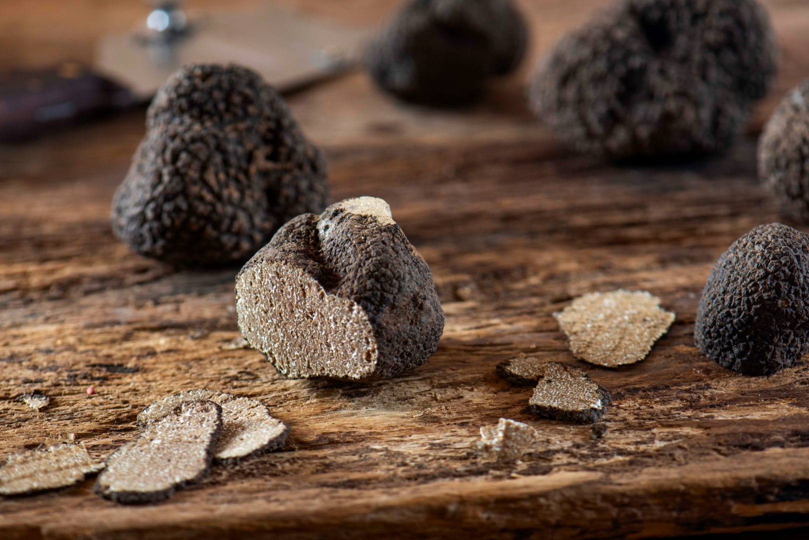 Vinarium Antica Trattoria entra na temporada de Trufas Negras