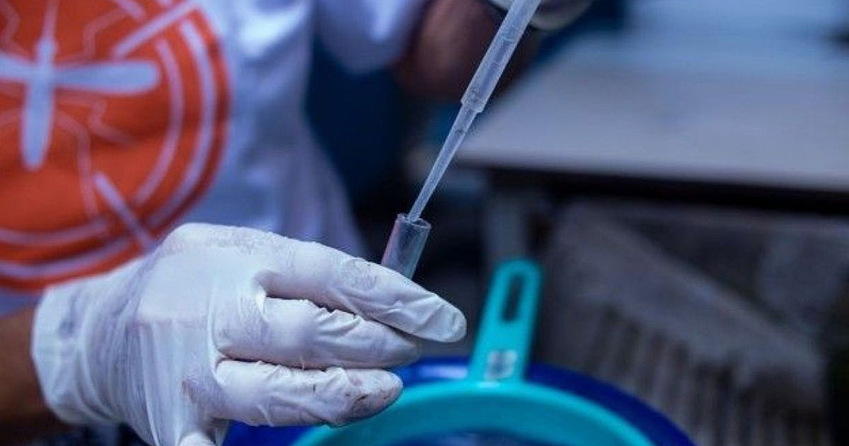 Com constantes chuvas, moradores devem ficar atentos com 
a dengue