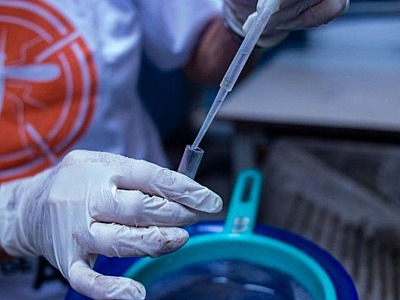 Com constantes chuvas, moradores devem ficar atentos com 
a dengue