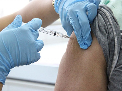 Com alta de casos no estado, é preciso ficar atento a febre amarela