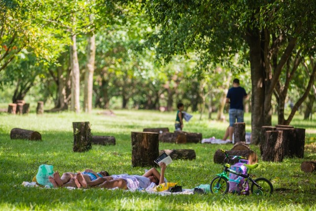 20% da área verde de Barueri fica na região de Alphaville
