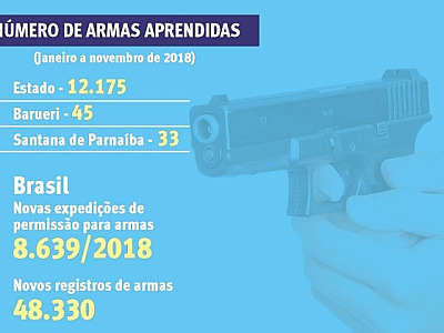 Após flexibilização, apreensão de armas pode aumentar nas cidades, diz ONG