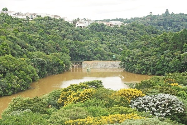 Área em Alphaville ganha status de reserva do Estado e evita especulação