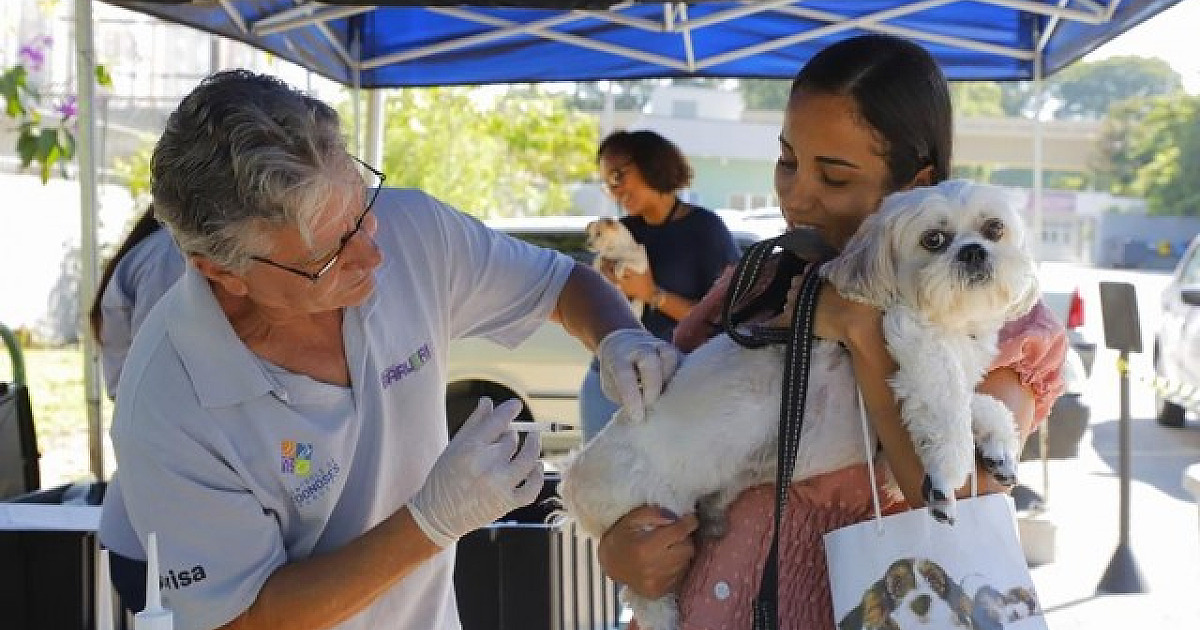 Barueri terá vacinação gratuita contra raiva no dia 27