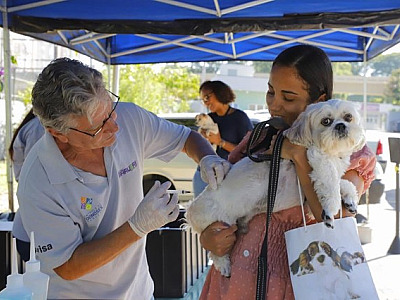 Barueri terá vacinação gratuita contra raiva no dia 27