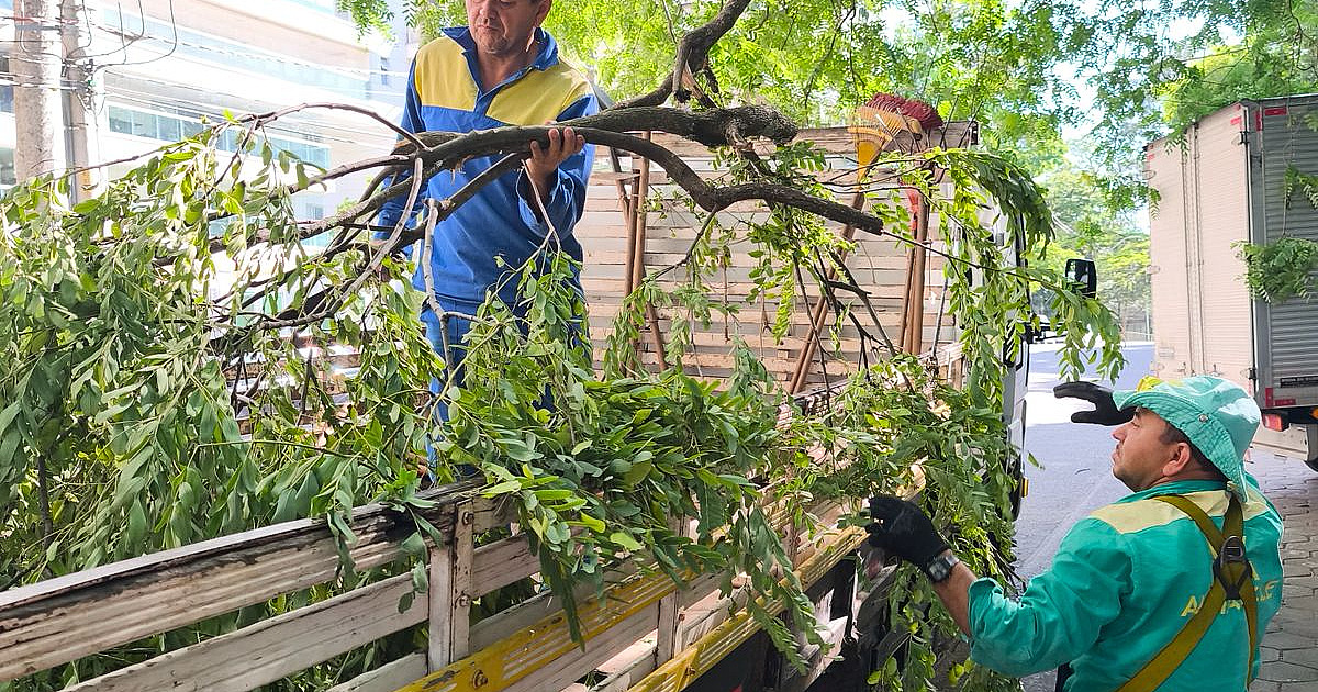 Após vendaval, equipes da AREA retiram mais de dez caminhões de entulhos