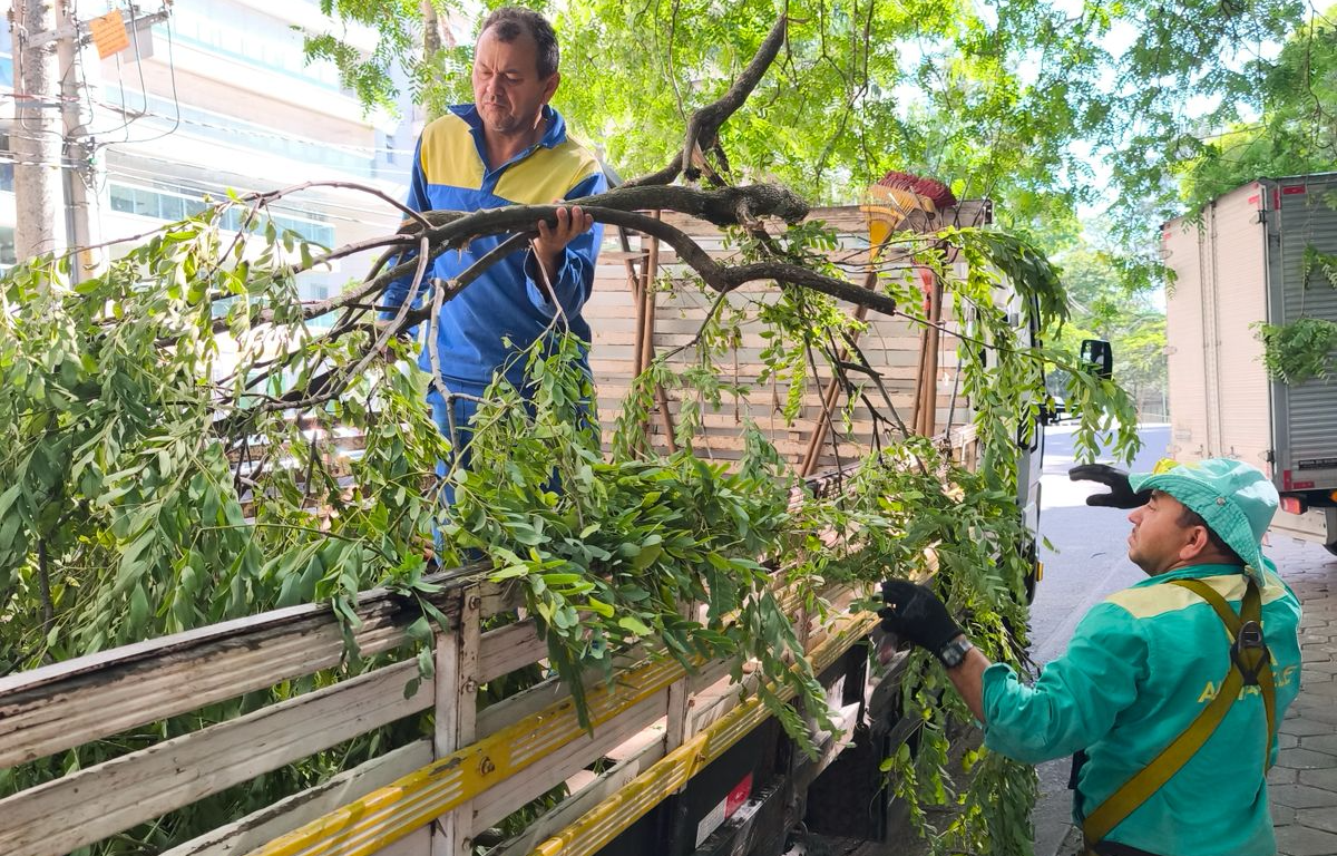 Após vendaval, equipes da AREA retiram mais de dez caminhões de entulhos
