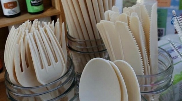 Descartáveis de semente de abacate: a nova alternativa ao plástico