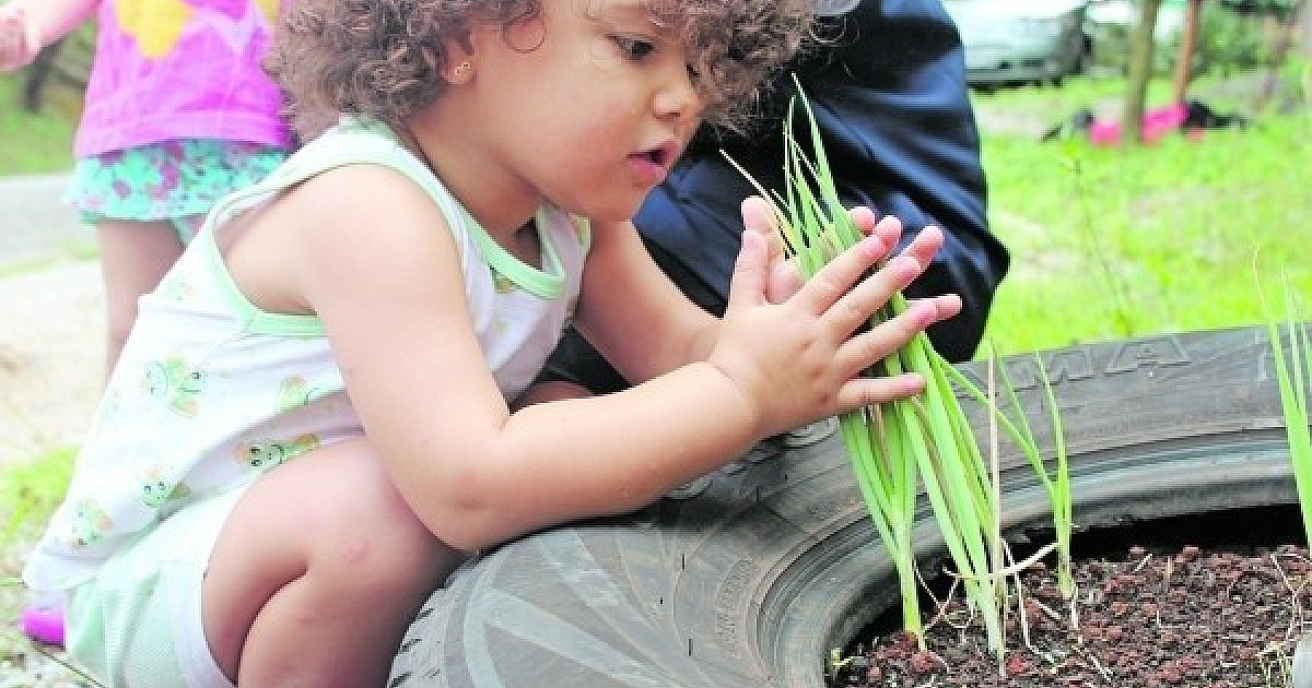 Parcerias estimulam aprendizagem na Pichotinho