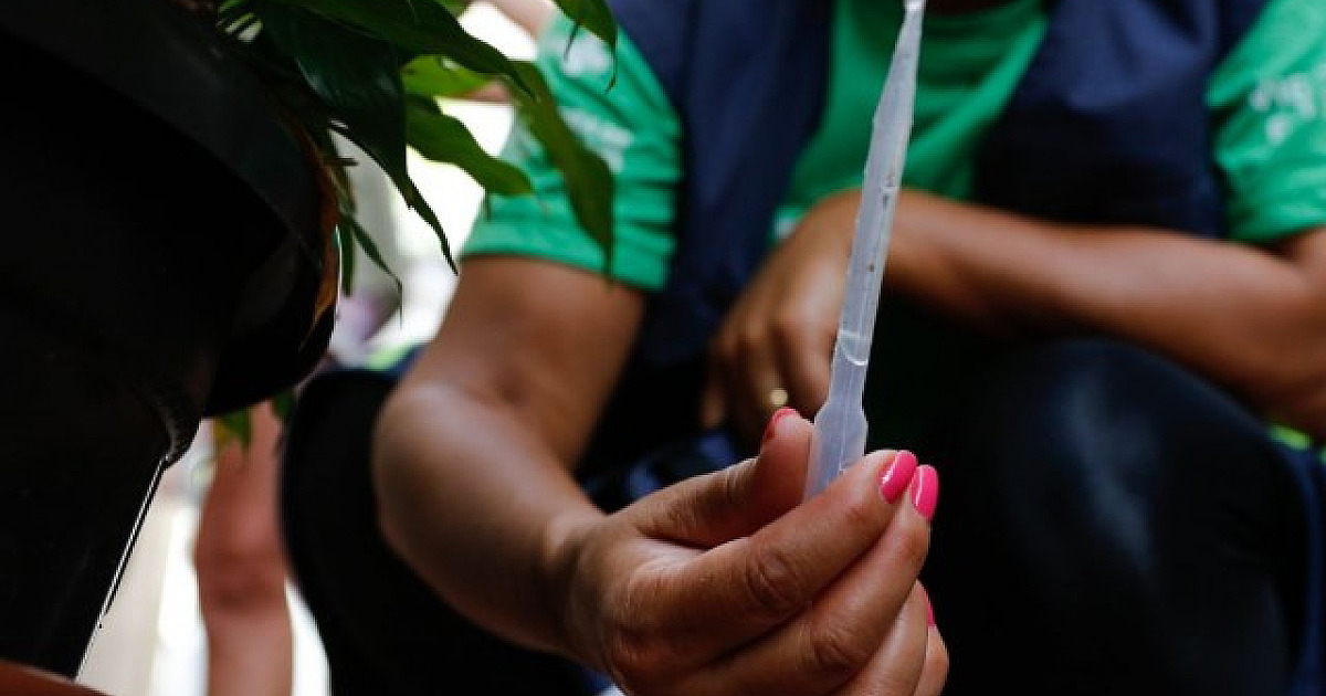 Vacina contra a dengue estará disponível no SUS no próximo ano