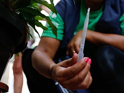 Vacina contra a dengue estará disponível no SUS no próximo ano