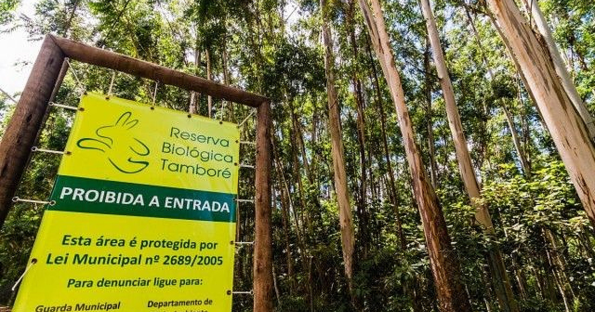 Reservas do bairro podem virar Zonas de Proteção
Especial