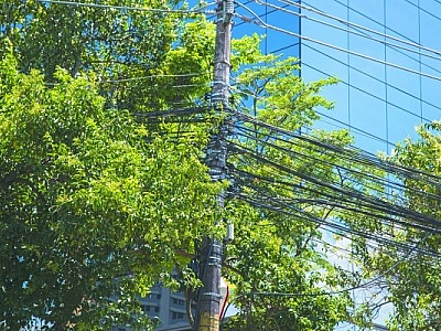 Prefeitura aguarda mais de dois anos por poda da Eletropaulo