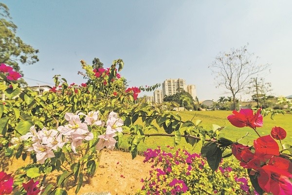 Com início segunda (23), Primavera terá chuva irregular e calor intenso
